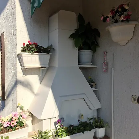 Palm Terrace Split